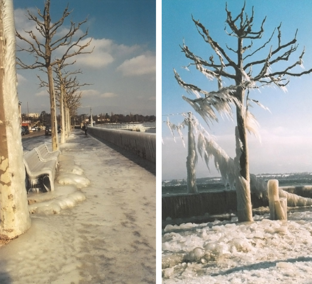 Набережная Версуа. Февраль 2005 год (фотография автора) Набережная Версуа. Февраль 2005 год (фотография автора)