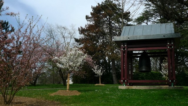 Павильон в окружении цветущих деревьев сакуры и яблонь (фотография автора)